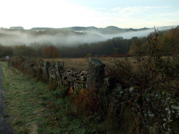 Camino Fonseca