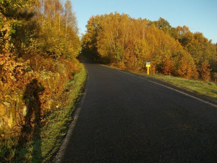 Camino Fonseca