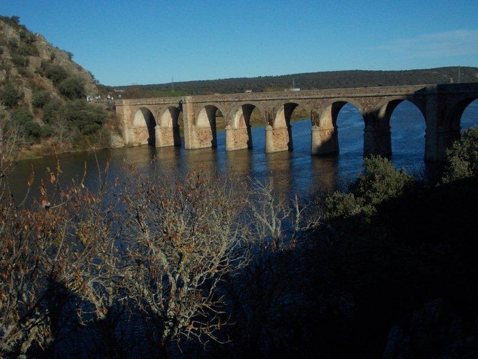 Camino Fonseca