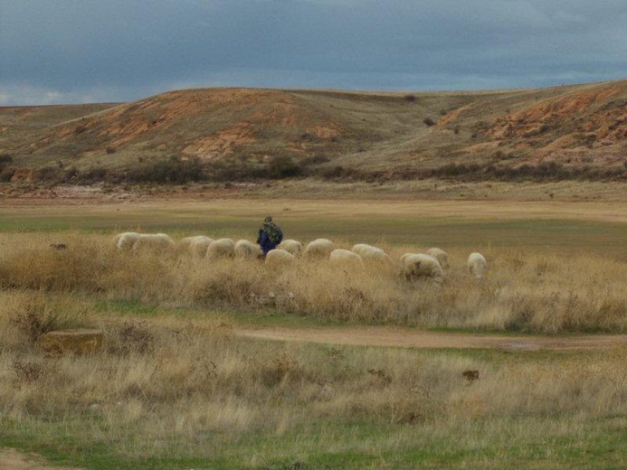 Camino Fonseca