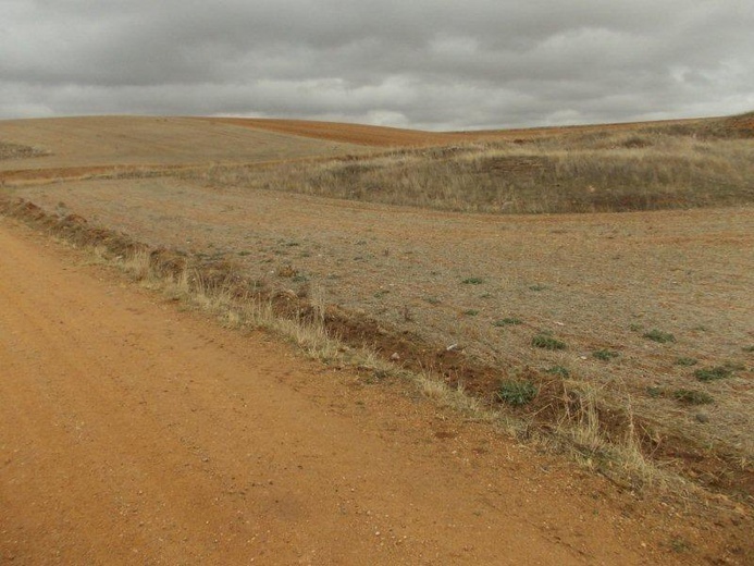 Camino Fonseca