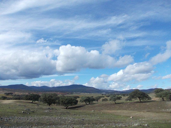 Camino La Plata