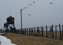 Obóz zaczął funcjonować w 1941 roku