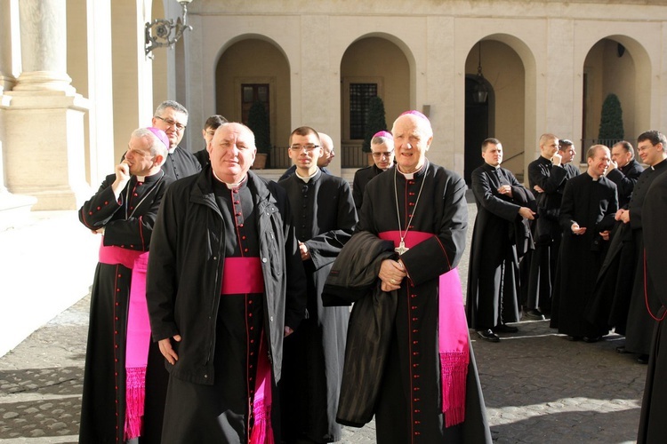 Ad limina apostolorum