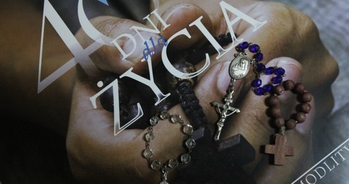 Wolne miejsca w kalendarzu