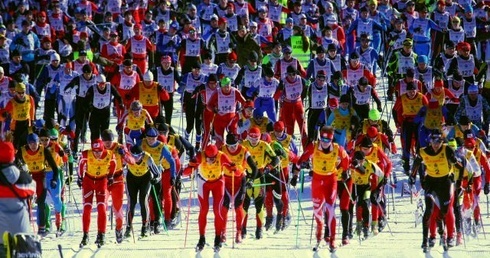 Festiwal Narciarstwa Biegowego