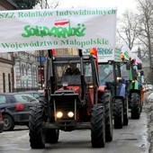 Prostest rolników w Nowym Sączu w 2013 roku