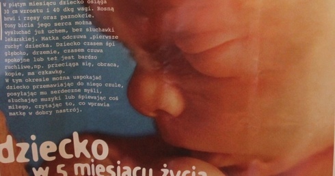 Wiedz, gdzie zabijają!