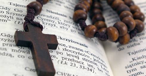 Adoptuj sobie posła