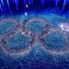 Soczi: Polak złapany na dopingu