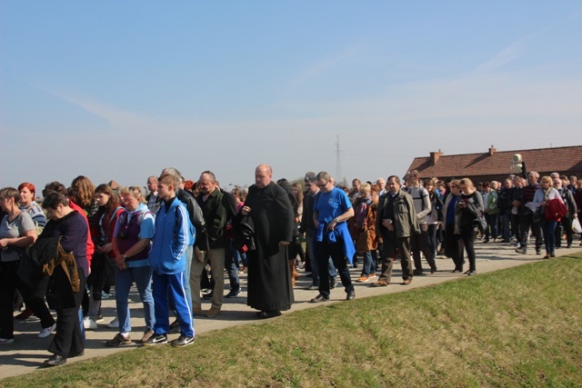 Droga Krzyżowa w KL Auschwitz-Birkenau