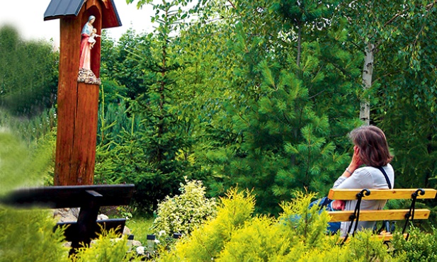  Instytut jest jedną z gałęzi w rodzinie oriońskiej, ale ma własne struktury. Ma wyznaczonego asystenta duchowego, ale poza tym jest niezależny od księży orionistów 