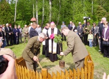 Sadzenie dębu w Makowie