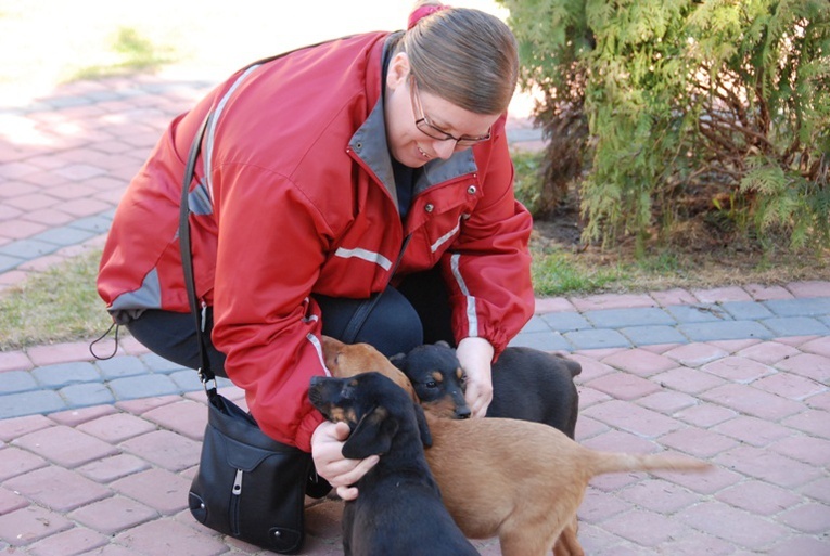 Skauci Europy w Studziannej