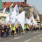 Marsz dla Życia - Zielona Góra 2014 (cz. 1)