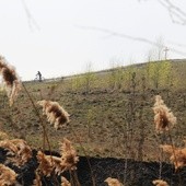 Upamiętnią zabitych w kopalniach