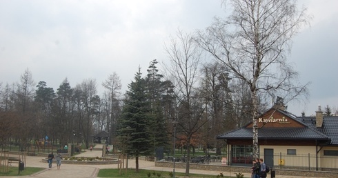 Kawa w parku