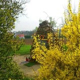 Praga