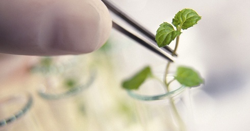 Życie. Wersja druga