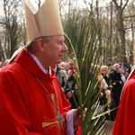 Odpust diecezjalny w parafii św. Wojciecha