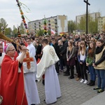 Niedziela Palmowa młodzieży 2014