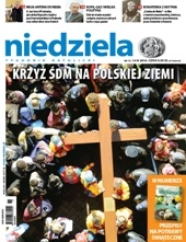 Niedziela 15/2014