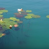 Nowatorska metoda oczyszczania jezior