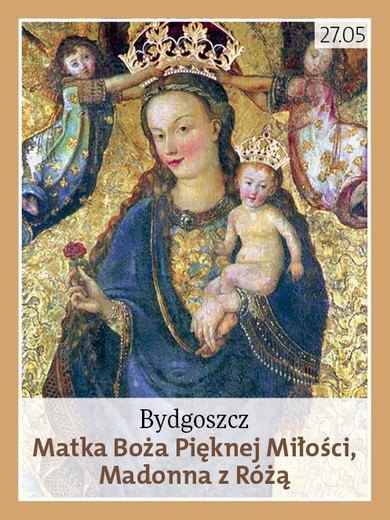 Matka Boża Pięknej Miłości, Madonna z Różą