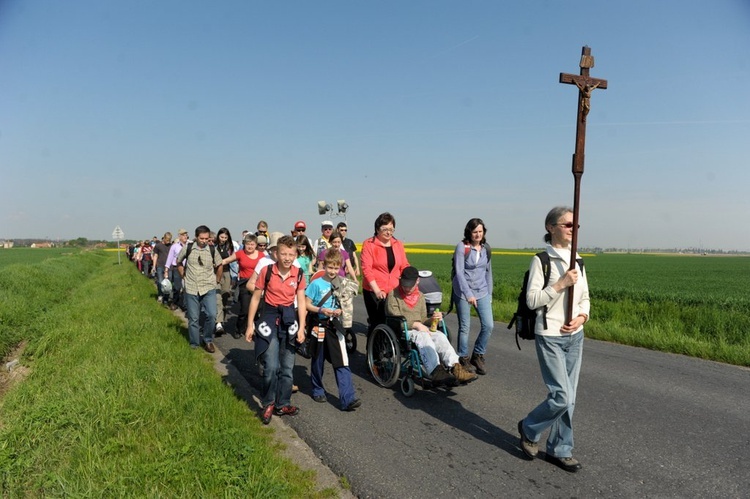 Ze Świdnicy do Gogołowa