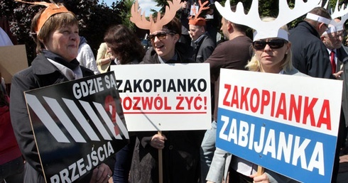 Jelenie chcą bezpiecznych przejść