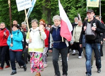 Pielgrzymkowe fotografie zamieszczone zostały w galeriach ilustrujących przebiieg wędrówki z Hałcnowa i Cieszyna do Łagiewnik