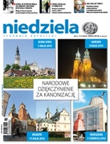 Niedziela 19/2014