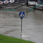 Zalane ścieżki na bulwarach wiślanych