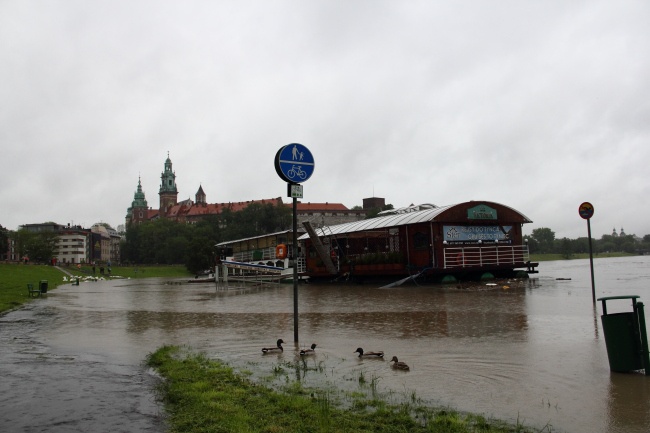 Zalane ścieżki na bulwarach wiślanych