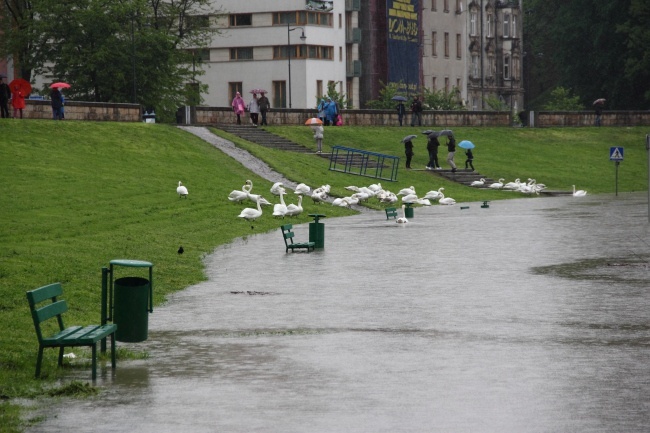 Zalane ścieżki na bulwarach wiślanych