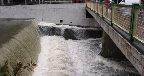 Białka w centrum Bielska-Białej w sobotnie popołudnie 17 maja