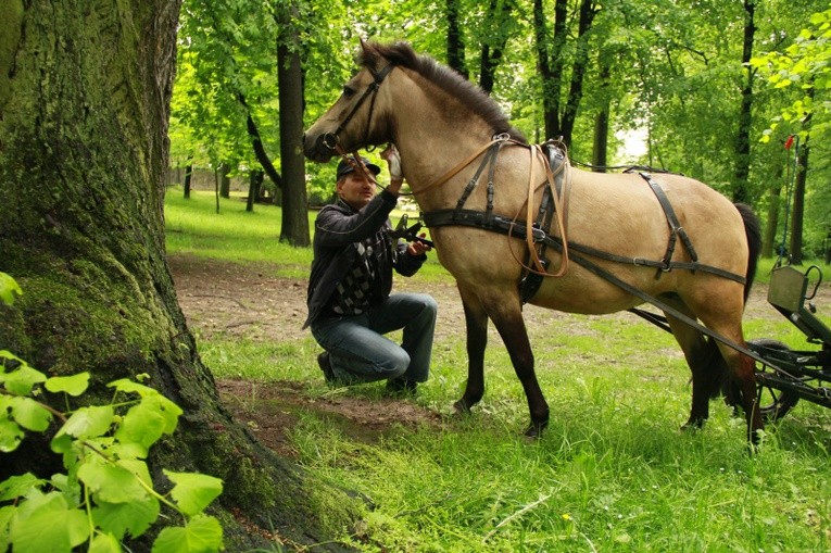 Jeźdźcy i zaprzęgi konne na pielgrzymce