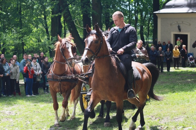 Jeźdźcy i zaprzęgi konne na pielgrzymce