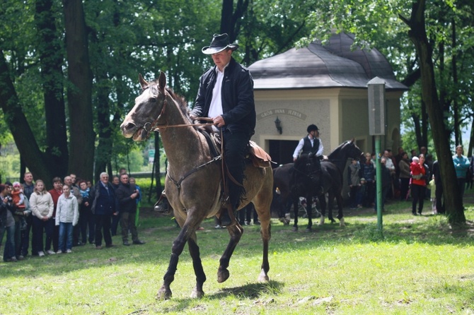 Jeźdźcy i zaprzęgi konne na pielgrzymce