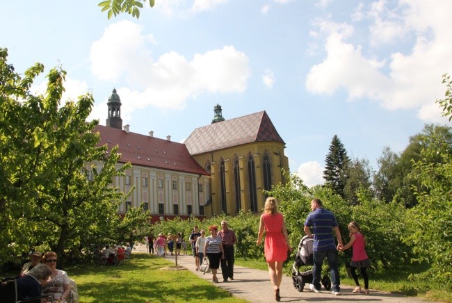 Majówka u boromeuszek