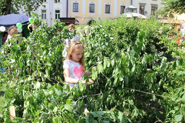 Misyjne Święto Dzieci w Tarnowie