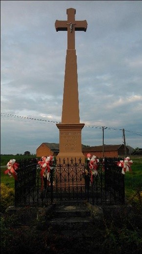 Kapliczki i krzyże z okolic Łowicza