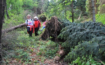 6. Franciszkański Rajd Kobiet - Śnieżnica 2014 cz. 2