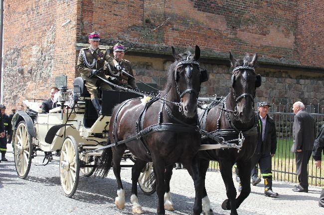 Marsz dla Życia i Rodziny w Płocku