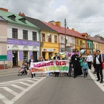 II Marsz dla Życia i Rodziny w Rawie Mazowieckiej