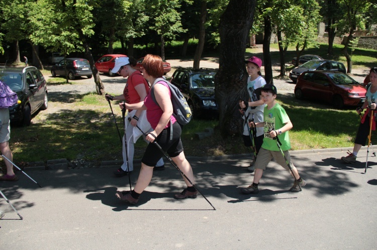 Piechurzy i rowerzyści