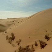 Polacy przebiegli przez pustynię Gobi