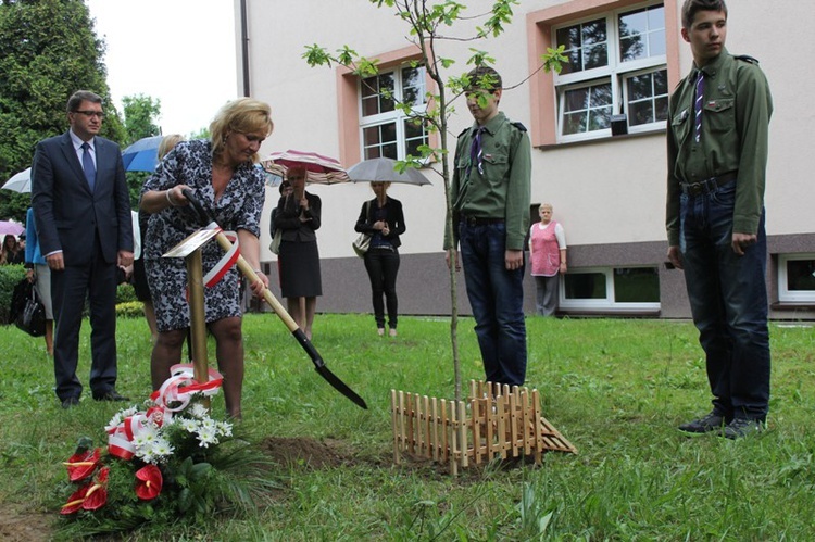 Dąb Pamięci st. post. Józefa Szarka w Oświęcimiu