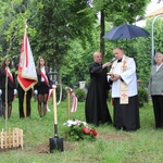 Dąb Pamięci st. post. Józefa Szarka w Oświęcimiu