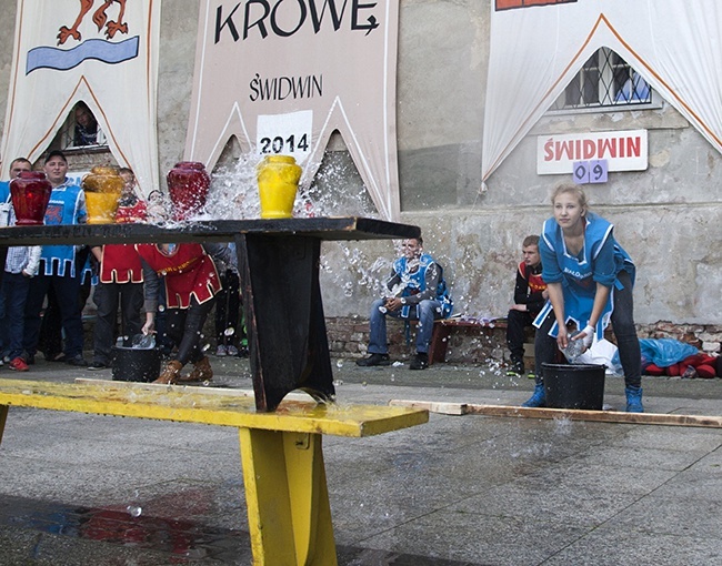 "Bitwa o krowę"